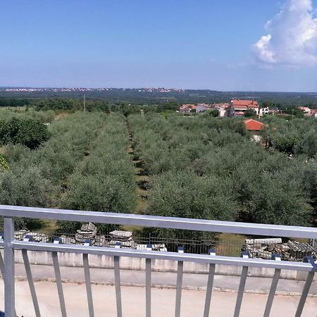 Apartment Coskovic Rosini المظهر الخارجي الصورة